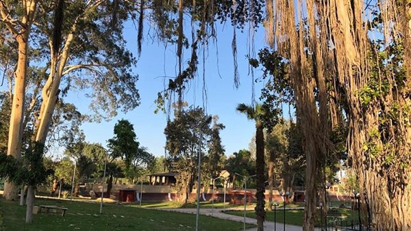 البحيرة بالقناطر