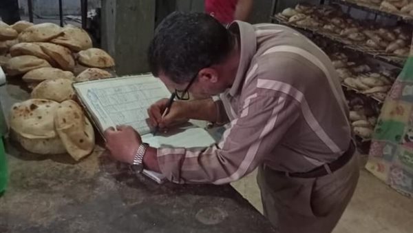 حملات ضبط المخالفين