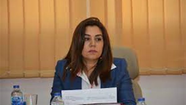 محافظ دمياط 