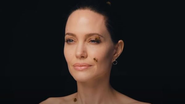 أنجلينا جولي 