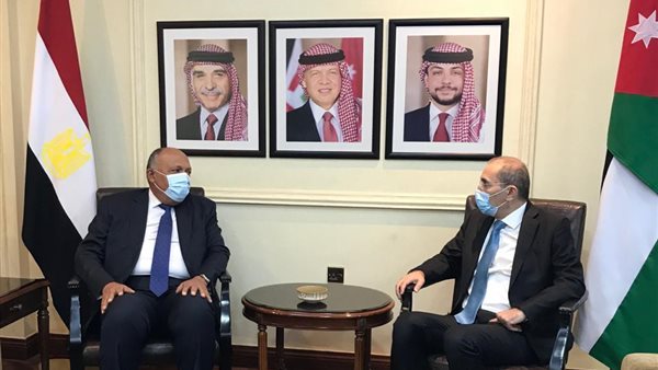 وزيرا خارجية مصر