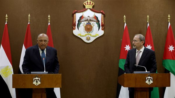 جانب من المؤتمر الصحفي