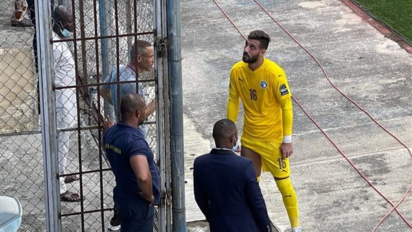 أحمد الشناوي 