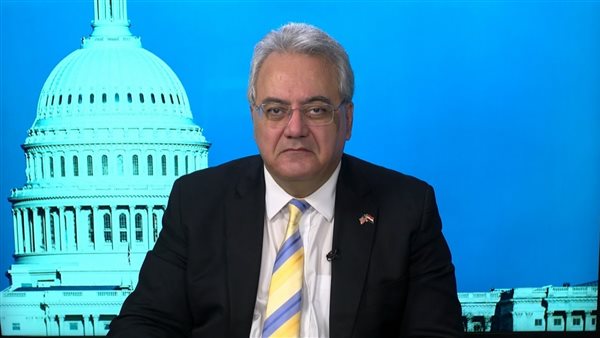 ماك شرقاوي، المحلل