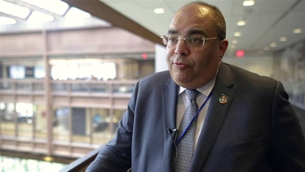 محمود محي الدين