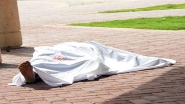 صورة ارشيفيه