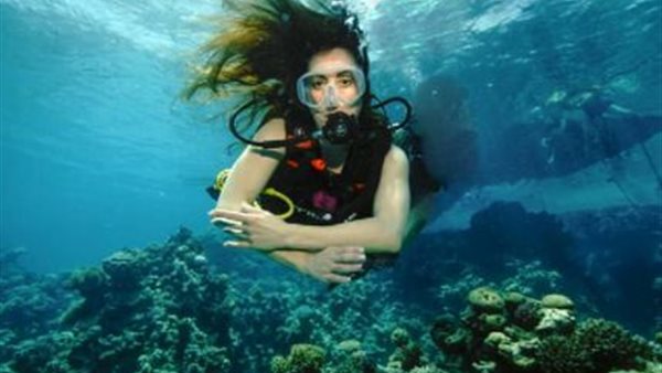 نرمين الفقي 