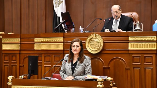 وزيرة التخطيط