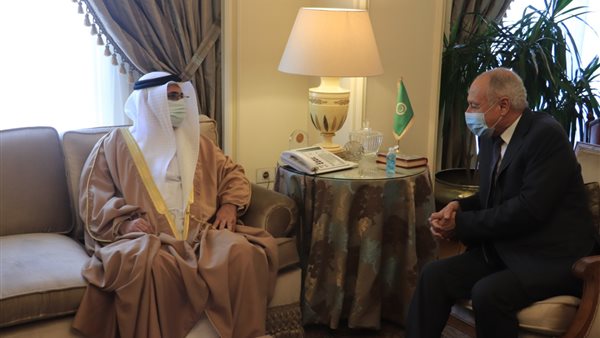 احمد ابة الغيط ولرئيس