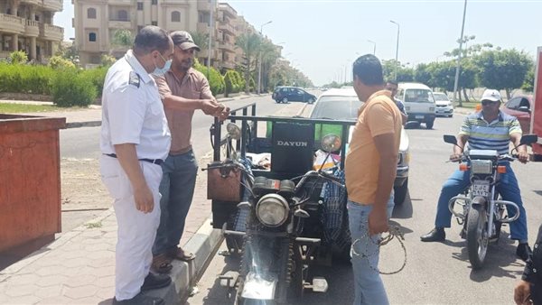 جانب من الحملة