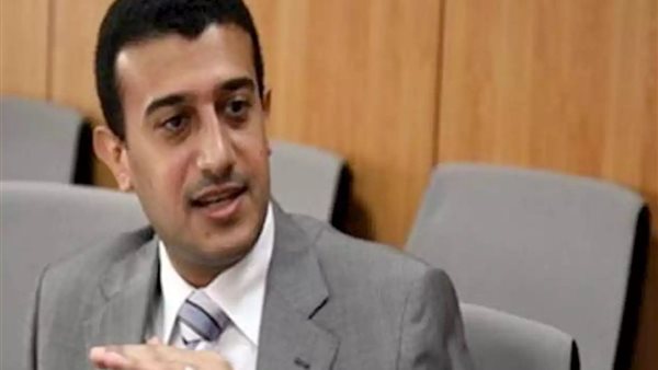 النائب طارق الخولى