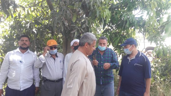 جانب من الحدث