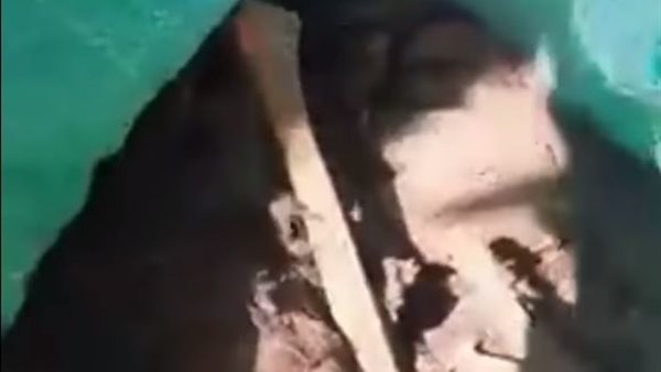 صورة الرفات 