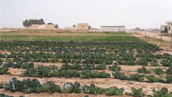 مشروع حقن التربة