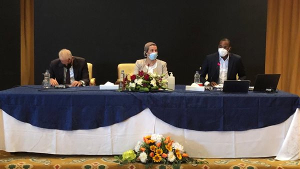 ياسمين فؤاد وزيرة