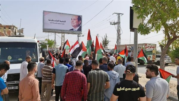 جانب من الاستقبال