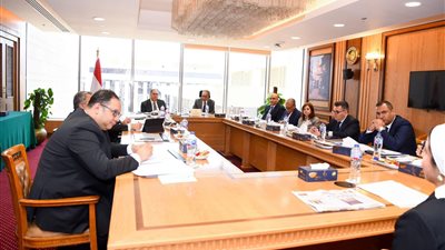 بدر عبد العاطي، وزير الخارجية