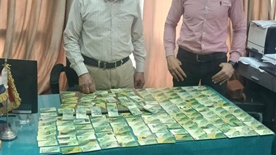 الأجهزة الرقابية بمحافظ الدقهلية