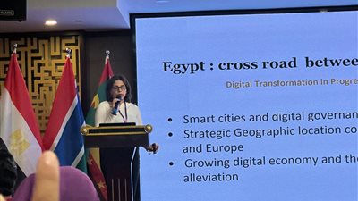 حبيبة خليل عضو الحزب المصرى الديمقراطى الاجتماعى    