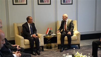 وزير الخارجية يلتقي نظيره الأردني 