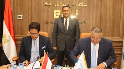 جامعة بنها الأهلية 