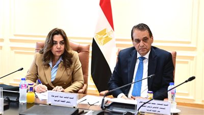 وزيرة التنمية تشارك في اجتماع اللجنة الفرعية 