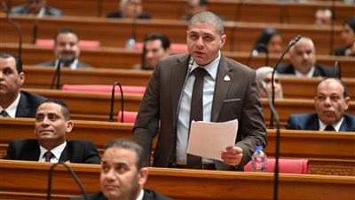 النائب أحمد جبيلي عضو مجلس النواب