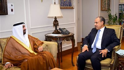  بدر عبد العاطي وزير الخارجية    