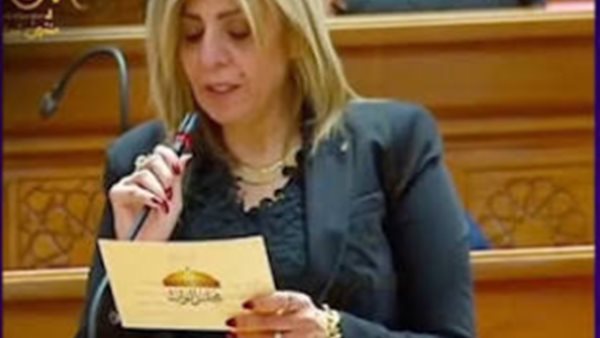 النائبة أميرة فؤاد عضو مجلس النواب    