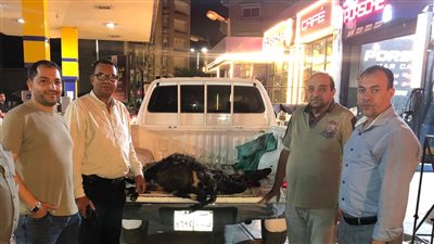 صورة المضبوطات 