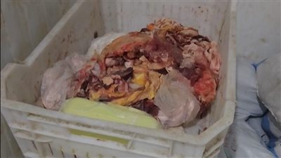 المضبوطات 