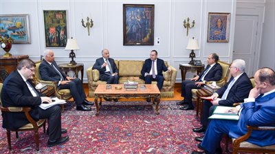 وزير الخارجية يستقبل وزير التعليم العالي    