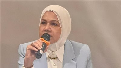 رئيس مصلحة الضرائب 
