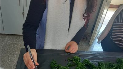 طلاب زراعة بنها 