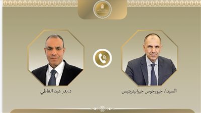 بدر عبد العاطي وزير الخارجية