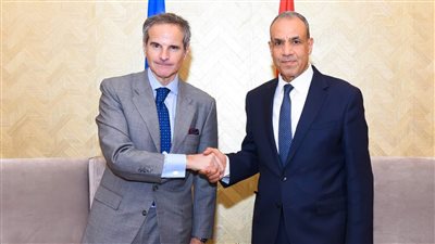 وزير الخارجية يلتقي المدير العام للوكالة الدولية للطاقة