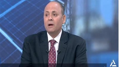 أحمد المنوفي مستشار الغرف التجارية    
