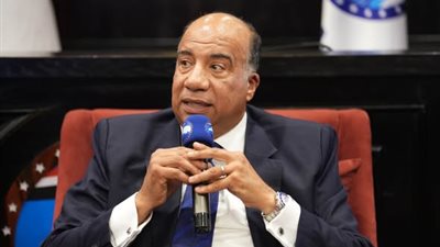  النائب محمد مصيلحي