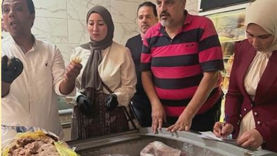 حملات الطب البيطري للتفتيش على المحلات بالدقهلية