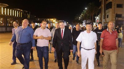  الدكتور حسام الدين فوزى محافظ دمياط