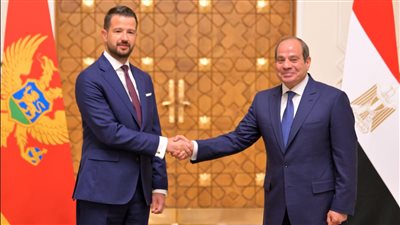 الرئيس عبدالفتاح السيسي    
