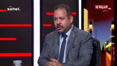 الدكتور باسم نبوي رئيس المعهد القومي للبحوث الفلكية    