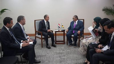 بدر عبد العاطي وزير الخارجية ونظيرة بسلطنة بروناي دار السلا