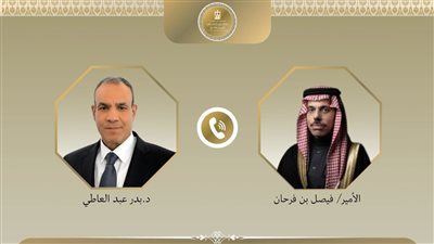 بدر عبد العاطي، وزير الخارجية