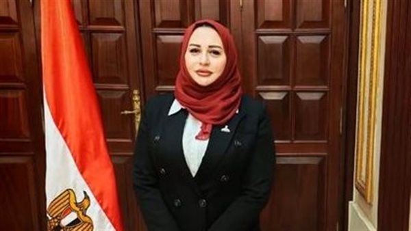 النائبة شيرين صبري    