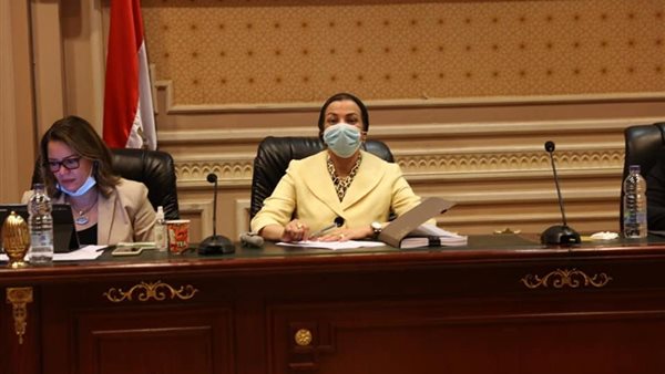 ياسمين فؤاد وزيرة