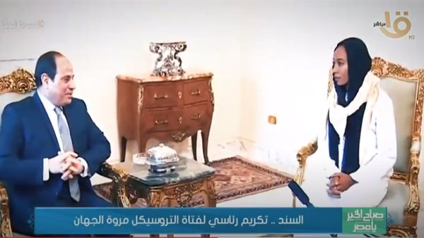 الرئيس السيسى يستقبل