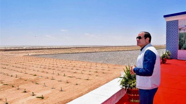 الرئيس عبد الفتاح