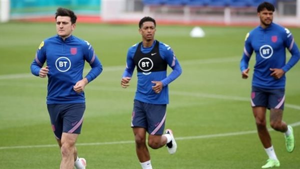 هاري ماجواير 