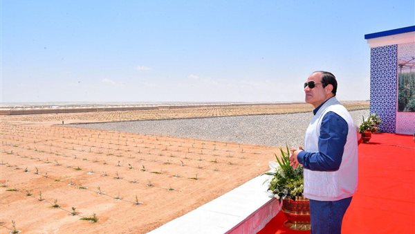 الرئيس السيسى